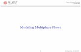 Modeling Multiphase Flows