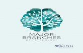 MAJOR BRANCHES - King University Online
