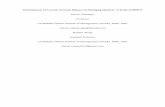 Determinants of Current Account Balance in Emerging ...