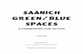 A FRAMEWORK FOR ACTION - Saanich