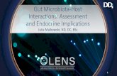 Gut Microbiota-Host Interactions: Assessment and Endocrine ...