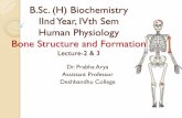 Bone Structure and formation Lecture-1 - Deshbandhu College