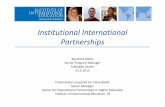Institutional International Partnerships