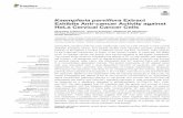 Kaempferia parviflora Extract Exhibits Anti-cancer ...