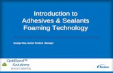 Introduction to Adhesives & Sealants Foaming Technology
