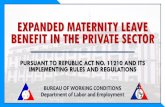EXPANDED MATERNITY LEAVE BENEFIT IN THE PRIVATE SECTOR