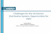 Challenges for the US Electric Distribution System ...