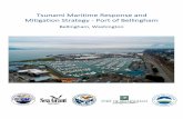 Tsunami Maritime Response and Mitigation Strategy - Port ...