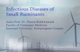 Infectious Diseases of Small Ruminants