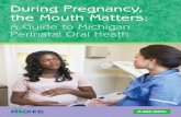 A Guide to Michigan Perinatal Oral Heath