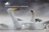 Annual Report 2018/19 - WWT