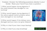 Catalyst: Answer the following questions silently in your ...