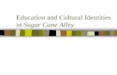 Education and Cultural Identities in Sugar Cane Alley