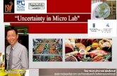 “Uncertainty in Micro Lab
