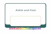 Ankle and Foot - Fisiokinesiterapia