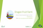 Dragon Fruit Farm - docs.wixstatic.com