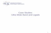 Case Studies: Ultra Wide Band and Ligado