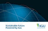 GLOBAL NATURAL GAS INSIGHTS • 2019 EDITION Sustainable ...