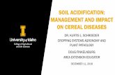 SOIL ACIDIFICATION: MANAGEMENT AND IMPACT ON CEREAL …