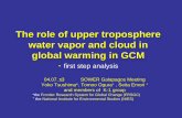 The role of upper troposphere water vapor and cloud in ...