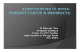 Dr Biswajit Dhar Professor and Head Centre for WTO Studies ...