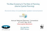 The Blue Economy & The Role of Planning (Marine Spatial ...