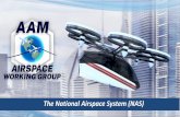 The National Airspace System (NAS)