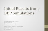 Initial Results from BBP Simulations