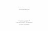 Essays in Financial Economics Lira Rocha da Mota Mertens