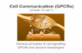 Cell Communication (GPCRs)