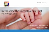 Introducing the Special Needs Trust to Hong Kong