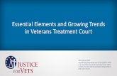 Essential Elements and Growing Trends in Veterans ...