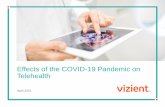 Effects of the COVID-19 Pandemic on Telehealth