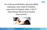 The Professional Midwifery Advocate (PMA) Deploying a new ...