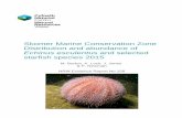 Skomer Marine Conservation Zone Distribution and abundance ...
