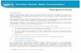 Practice Guide: M&A Transactions - LawWorks