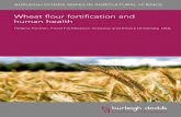 Wheat flour fortification and human health
