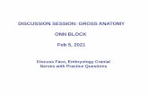 DISCUSSION SESSION: GROSS ANATOMY ONN BLOCK Feb 5, 2021
