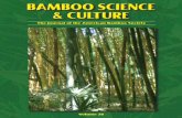 19493 OID Ctlg - Bamboo