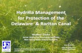 Hydrilla Management for Protection of the Delaware ...