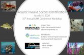 Aquatic Invasive Species Identification