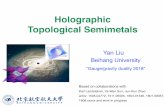 Holographic Topological Semimetals - uni-wuerzburg.de