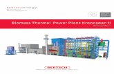 Biomass Thermal Power Plant Kronospan II