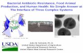 Bacterial Antibiotic Resistance, Food Animal Production ...