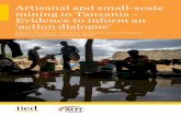 Artisanal and small-scale mining in Tanzania – Evidence to ...
