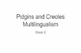 Pidgins and Creoles Multilingualism