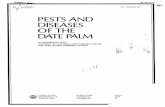 PESTS AND DISEASES OF THE DATE PAUV1