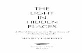 THE LIGHT IN HIDDEN PLACES - Scholastic