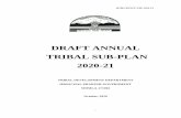 DRAFT ANNUAL TRIBAL SUB-PLAN 2020-21