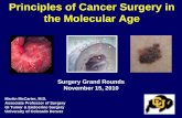 Principles of Cancer Surgery in the Molecular Age